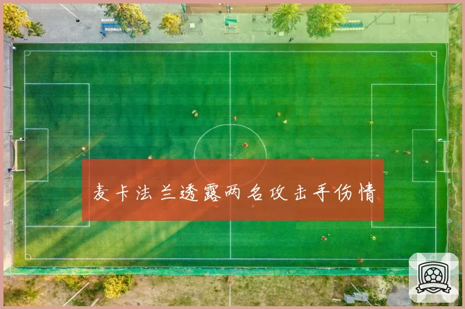 麦卡法兰透露两名攻击手伤情