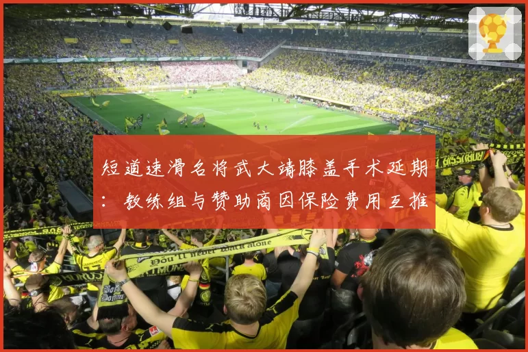 短道速滑名将武大靖膝盖手术延期：教练组与赞助商因保险费用互推责任