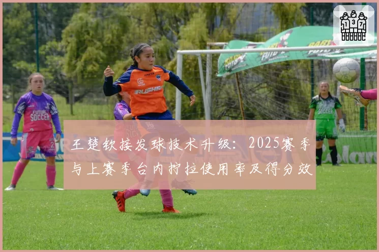 王楚钦接发球技术升级：2025赛季与上赛季台内拧拉使用率及得分效果对比